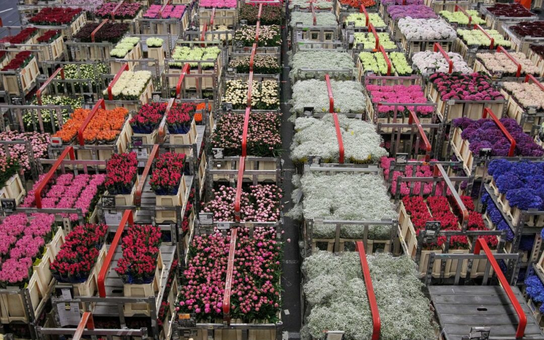 Perché scegliere fiori di stagione per il tuo evento